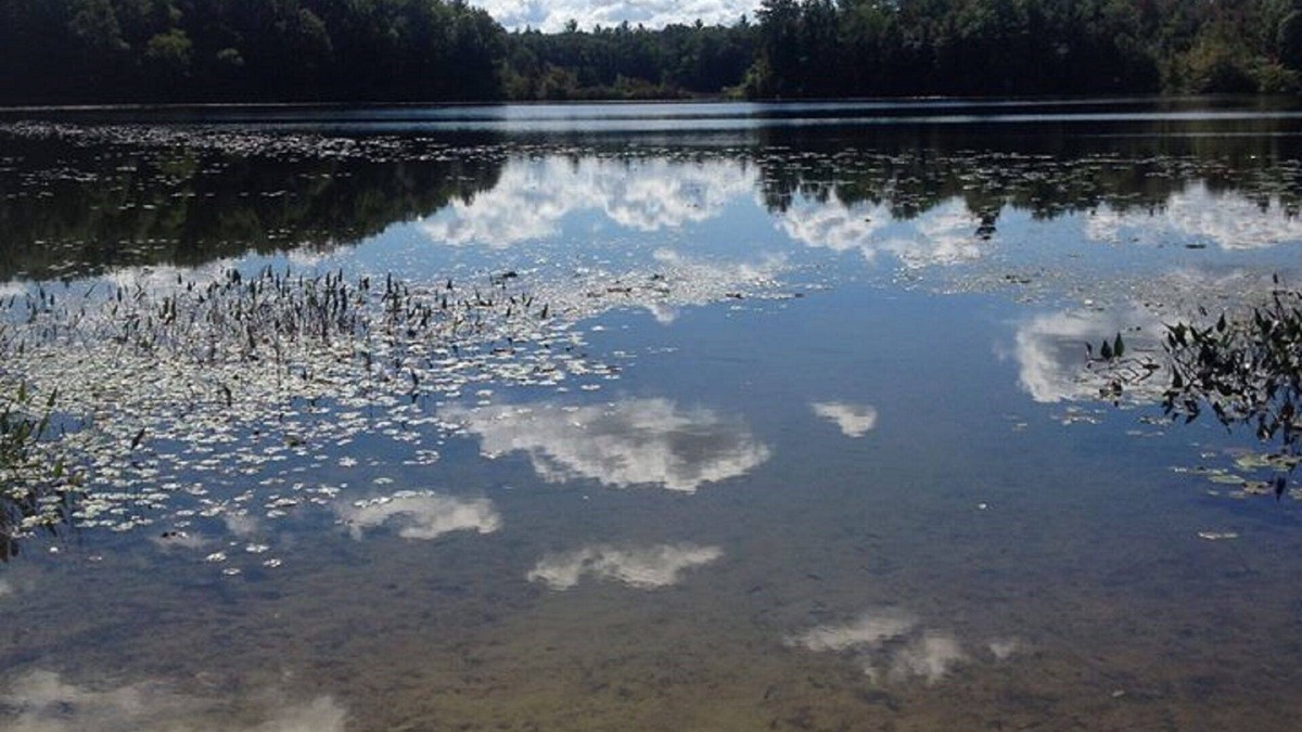 Smyrna House | Spacious, Secluded RV On Private Lake with Own Access