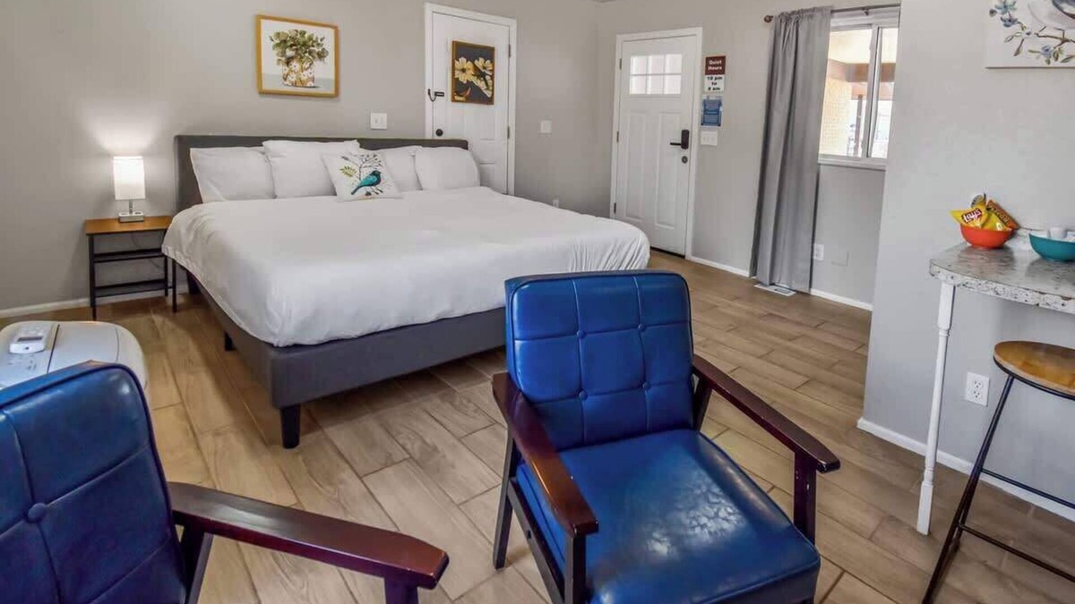 Dupont House | Spacious Studio with King Bed & Fast WiFi