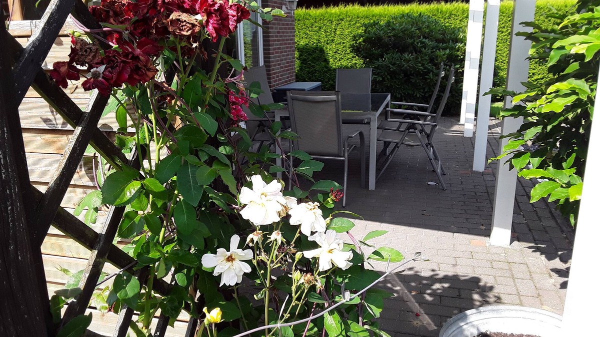 Sandkrug House | Spacious vacation home with 3 bedrooms, covered terrace, barbecue hut NaheOL