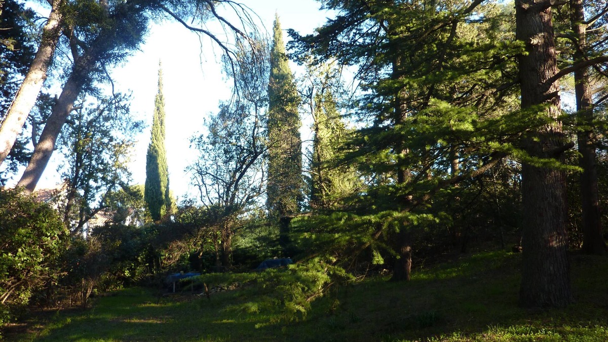 Mont Duplan House | Spacious villa (220m2) on the heights, near Tour Magne