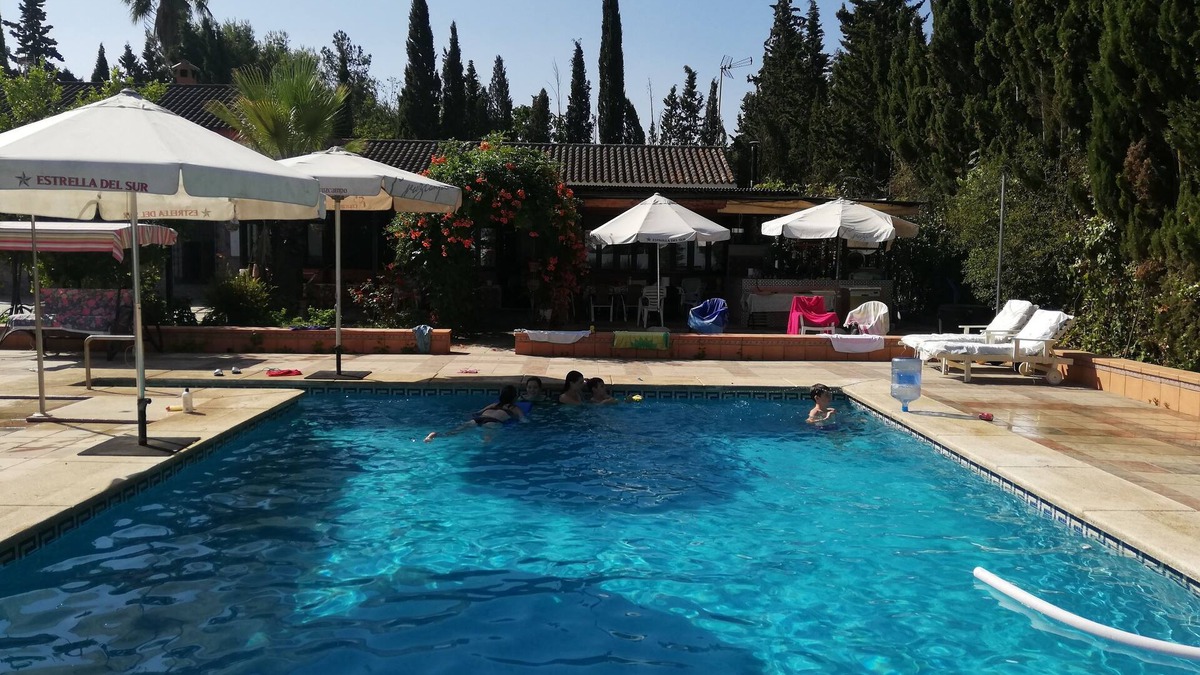Bellavista Villa | Spacious villa, private pool in huge grounds, orange trees, outskirts of Sevilla