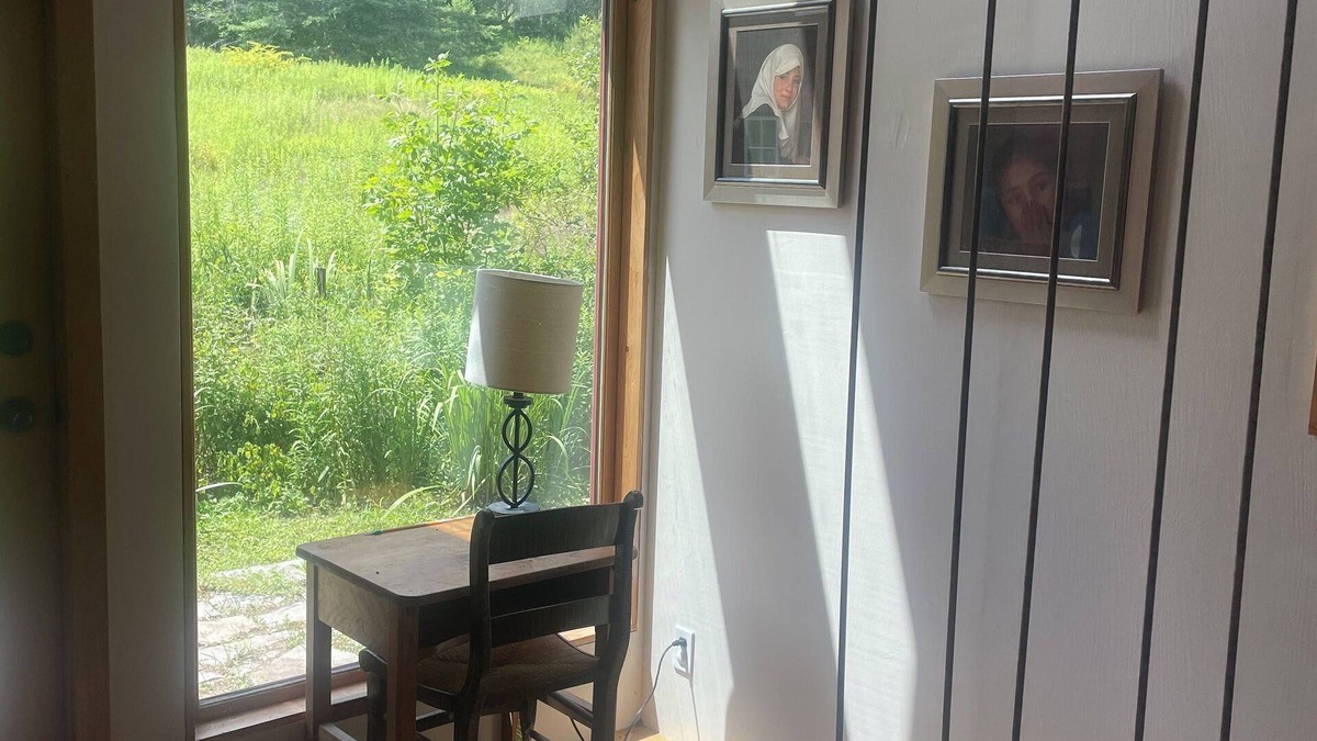 West Fulton House | Spacious Willow Cabin with attached pool in Wild and Wonderful West Fulton!