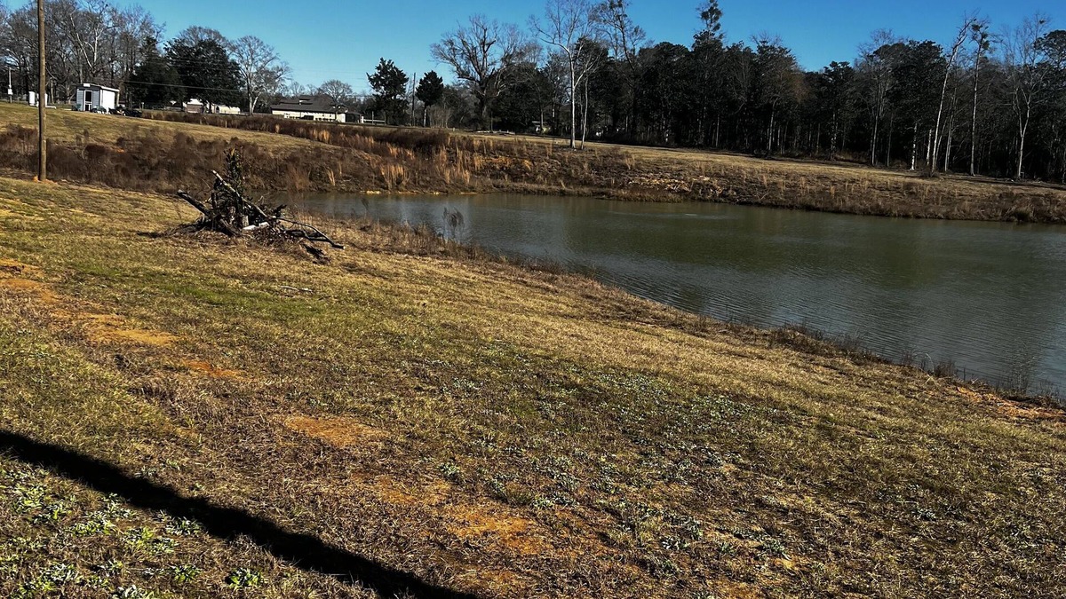 Molino House | Spacious with plenty of acres