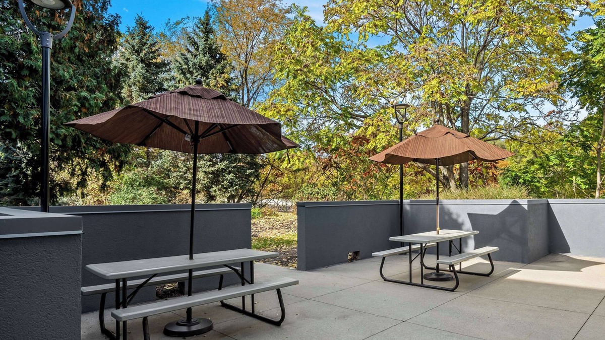 Stevensville Hotel | Spark by Hilton Stevensville