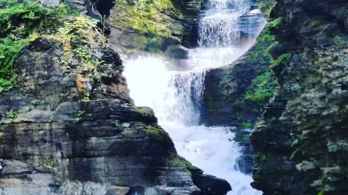 Town of Fulton Cabin | Sparrow Farm Cottage & Majestic Waterfall