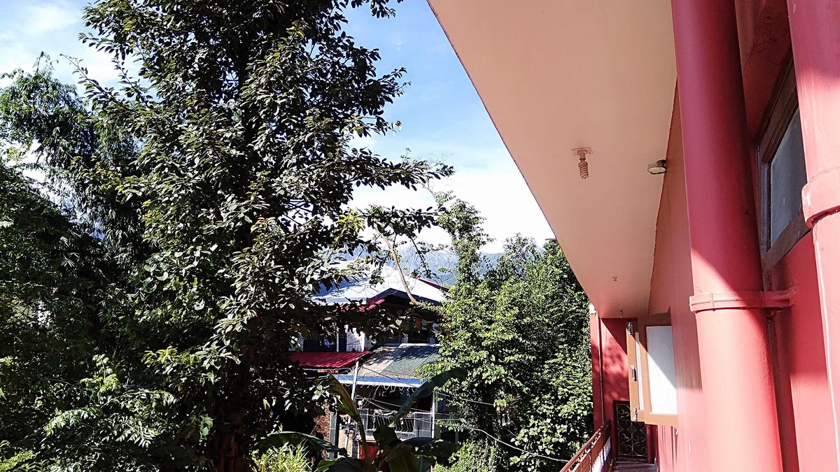 Palampur Bed & Breakfast | "Sparrow's Nest Resorts and Homestays"
