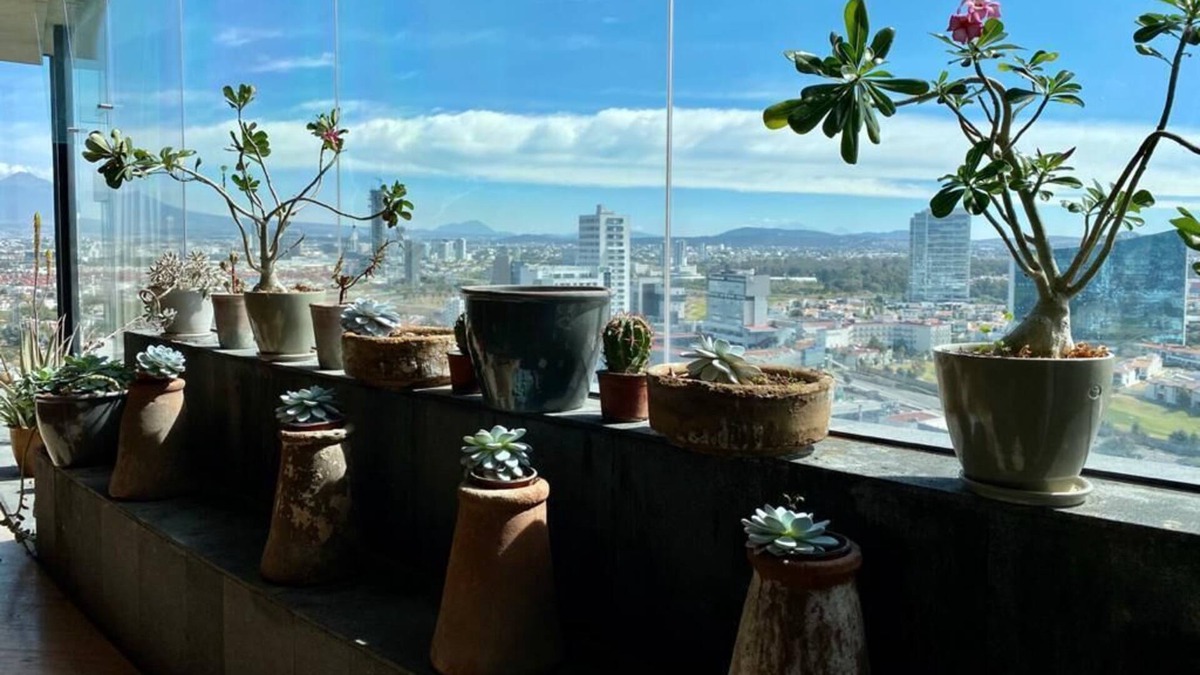Angelopolis Condo | Spectacular views, beautiful space!