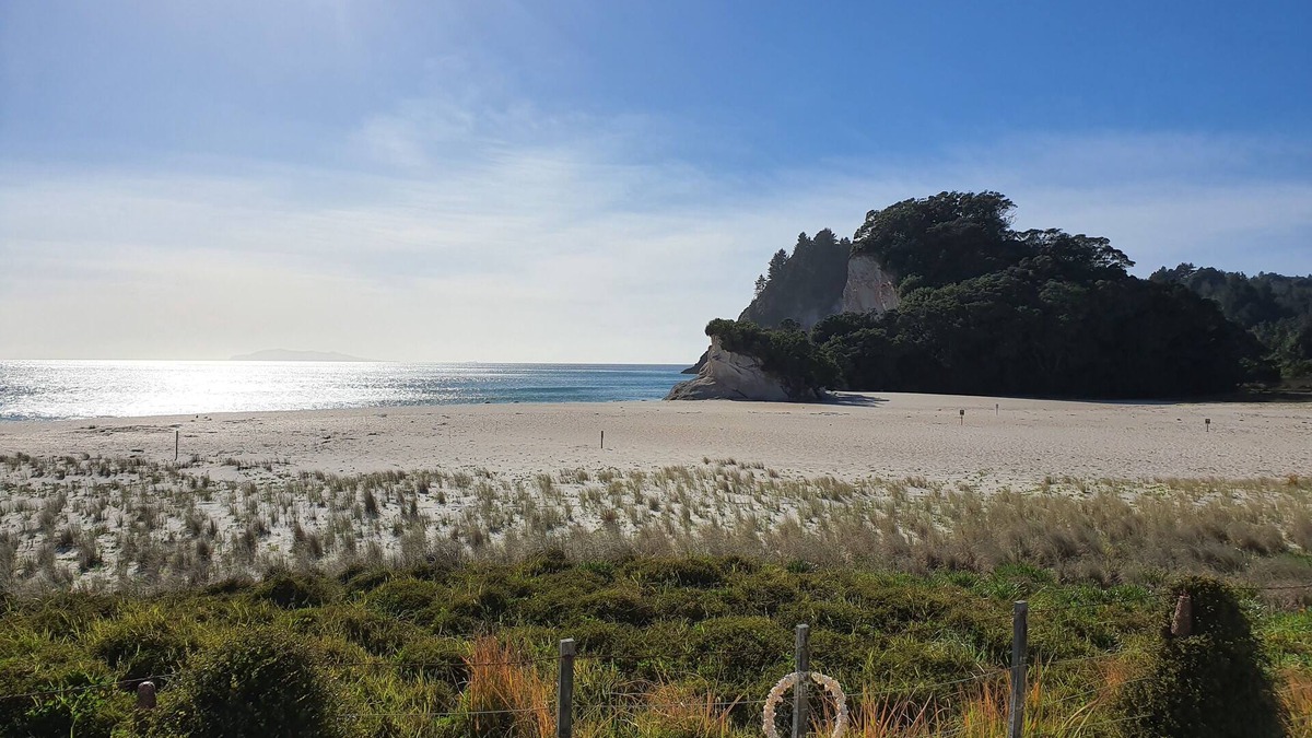 Whiritoa House | Spectacular Beachfront in Whiritoa