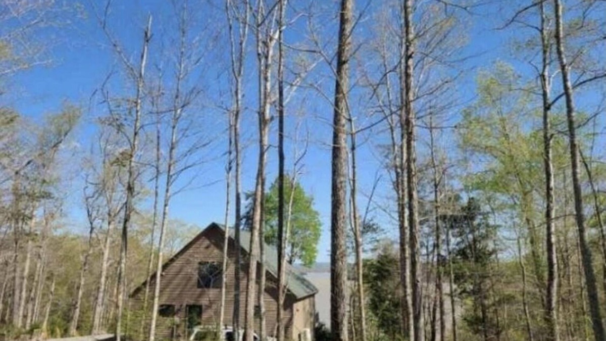 Nancy House | Spectacular cabin on Lake Cumberland