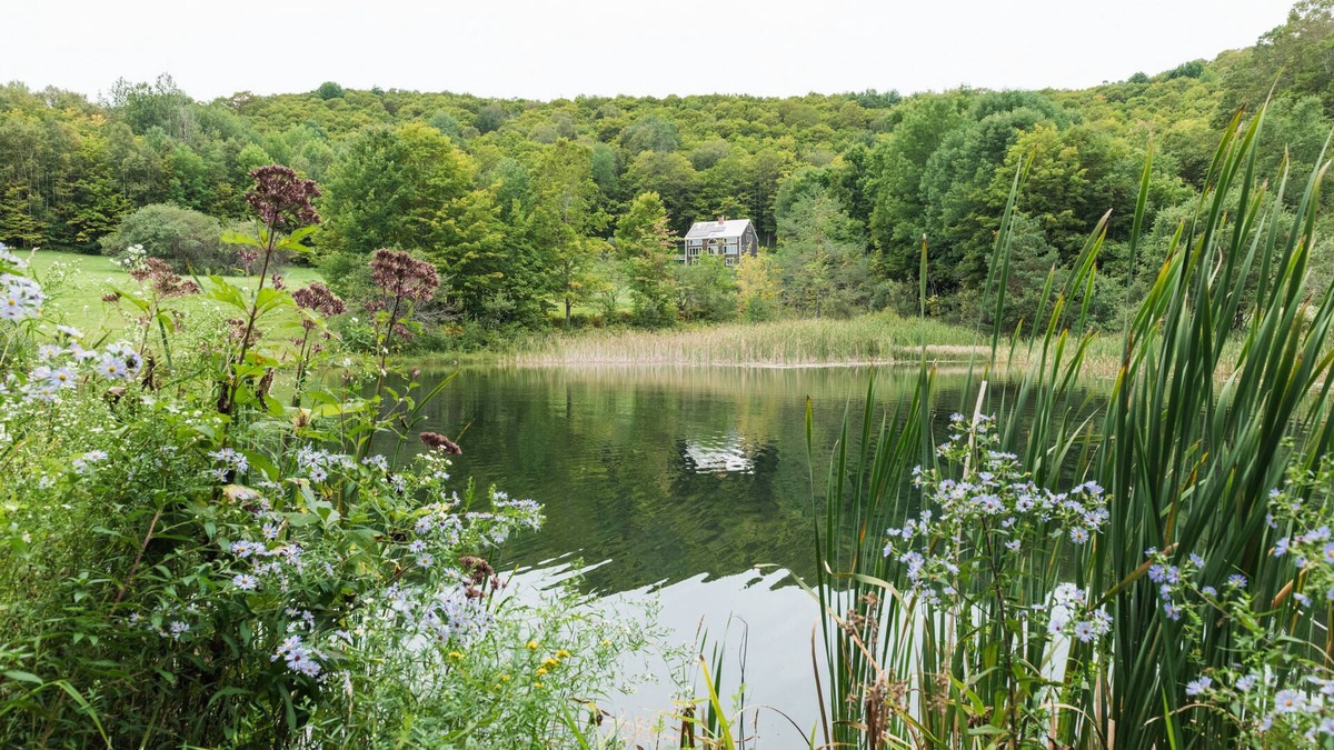 Orange House | Spectacular home on 60 acres, swimming pond & trails, pet friendly + EV charger