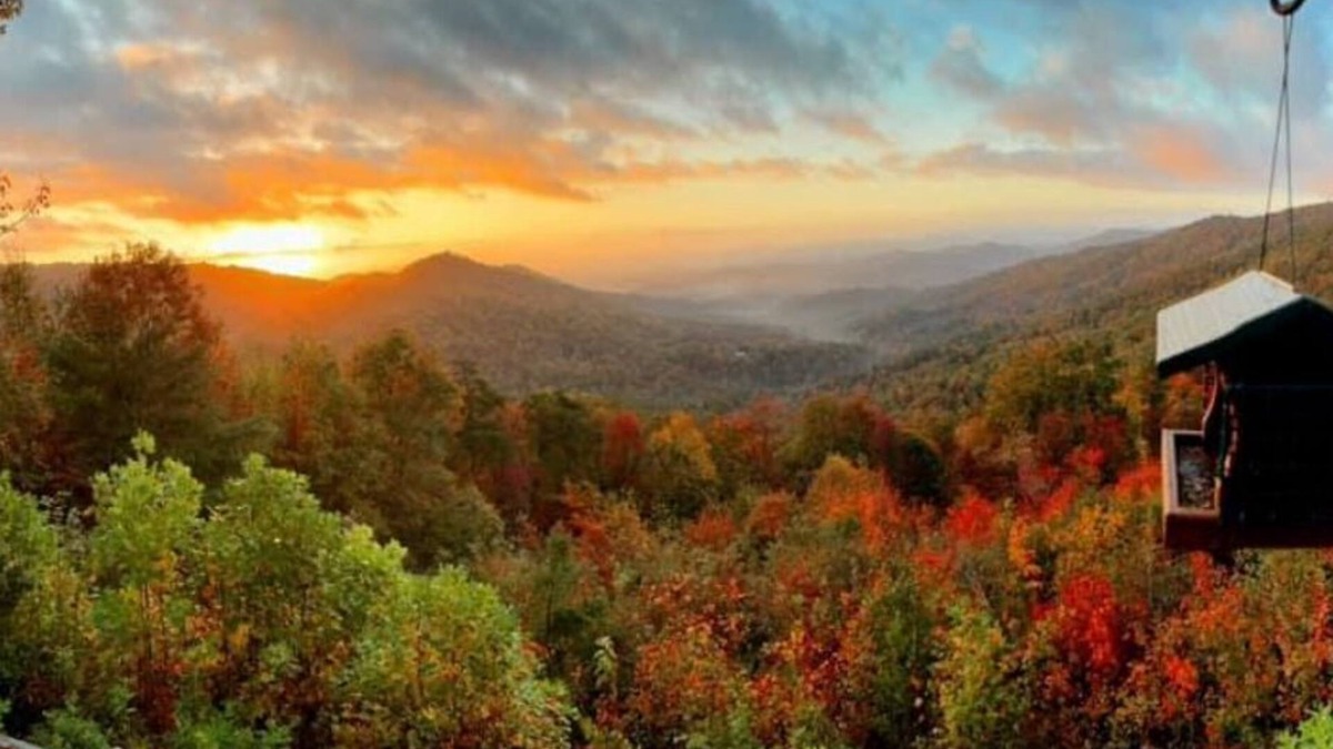 Purlear Cabin | Spectacular Mtn Views-Artfully Decorated. Inviting, Warm & Rustic.