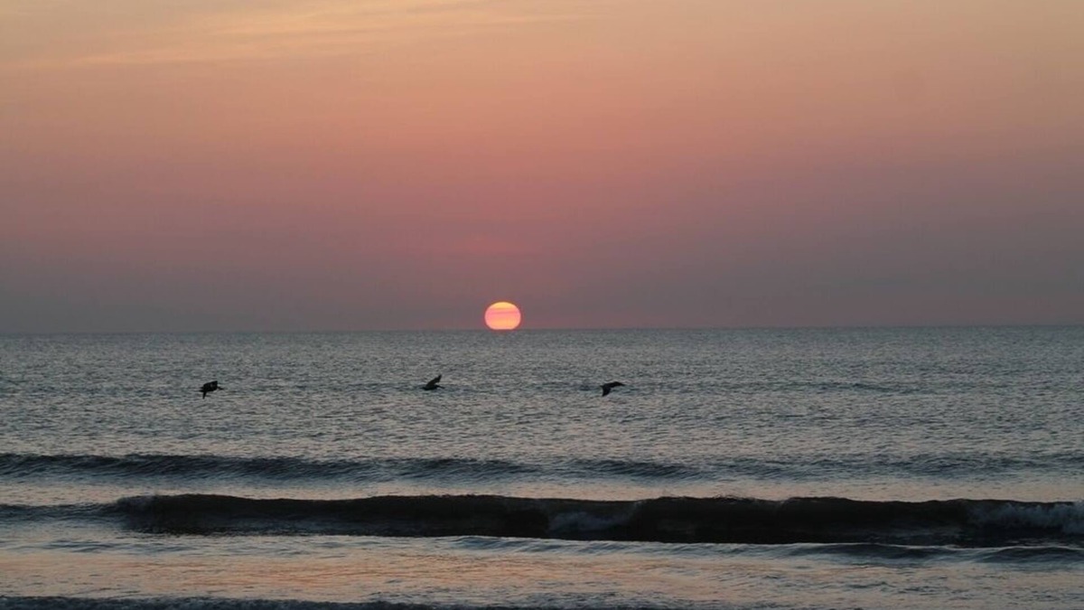 Ormond-by-the-Sea Condo | Spectacular Ocean and Pool View Ormond Beach Florida Condominium