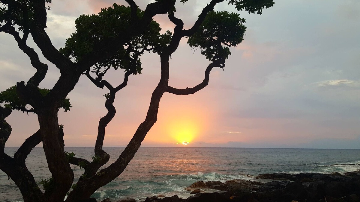 Kailua-Kona Condo | SPECTACULAR OCEAN VIEW at waters edge. Close to Kona Town shops and activities.