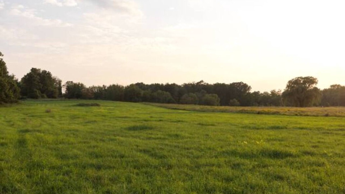 Town of Marbletown Other | Spectacular Views! Large Home on 63 Acre Farm
