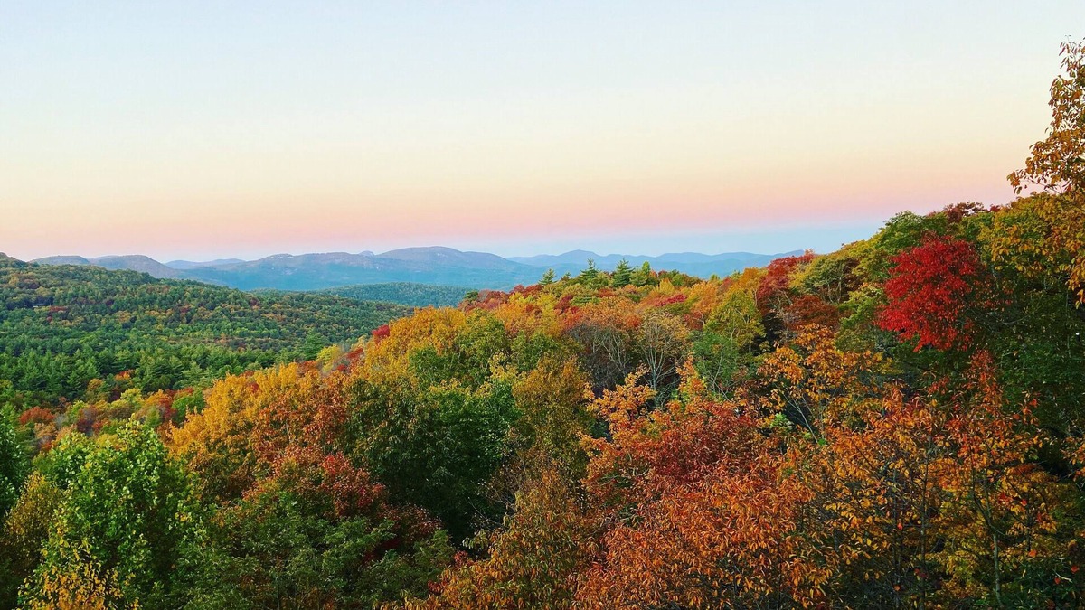 Clayton House | Spectacular views of the Blue Valley, steps from the Rabun Bald trailhead!