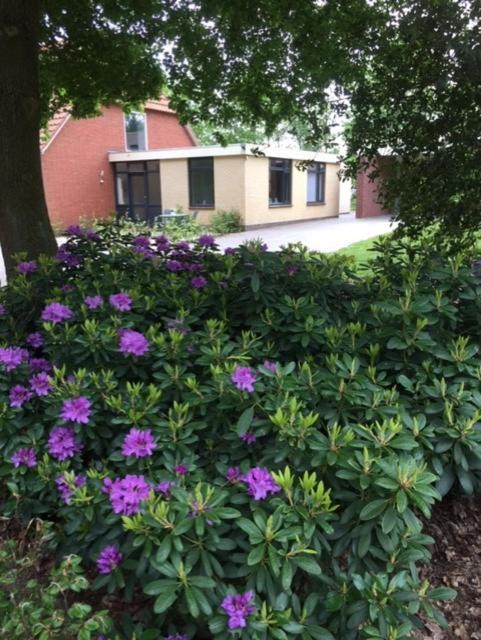 Kraggenburg Bed & Breakfast | Speldehof