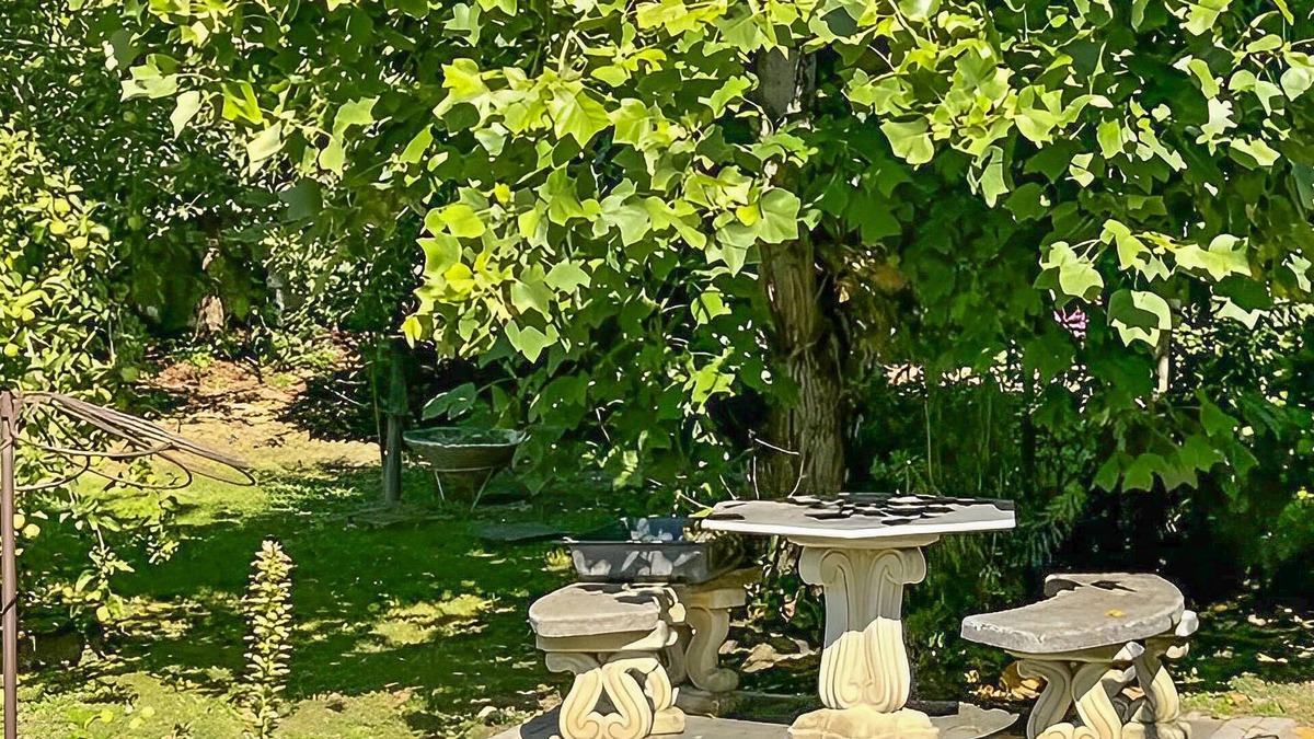 Corre Apartment | Spend a relaxing holiday in nature in this holiday apartment.