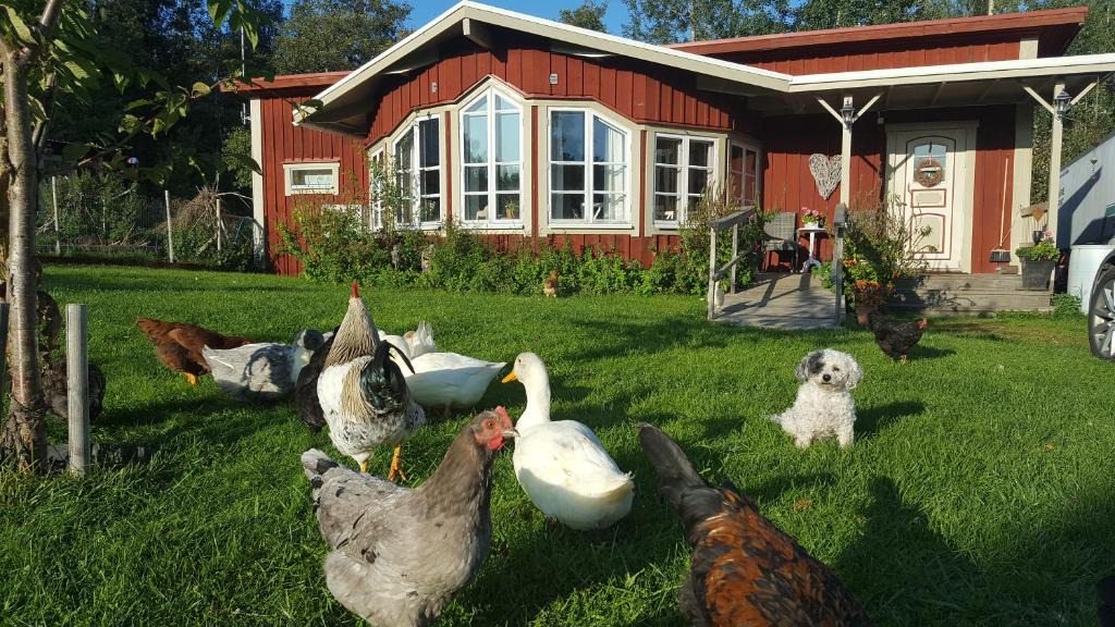 Glanshammar Villa | Spiragården