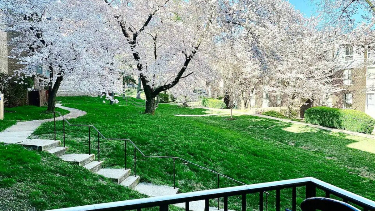 Aspen Hill Condo | Splendid 2bed 2bath condo in Silver Spring with free Parking laundry and AC WiFi