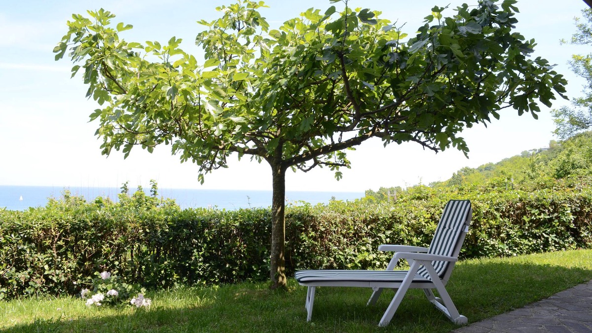 Gabicce Mare Apartment | SPLENDID SEA VIEW 10 minutes walk from the beach-immersed in greenery
