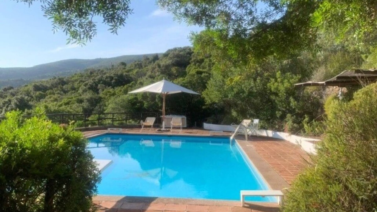 Porto Santo Stefano Villa | Splendid Villa surrounded by greenery with swimming pool.