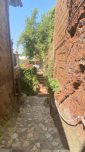 Barbarano Romano House | Splendida villetta con giardino