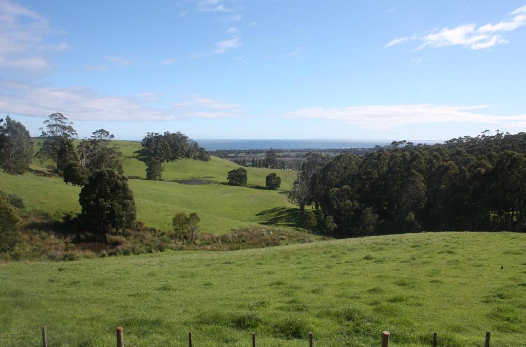 Forth House | Spring Hill