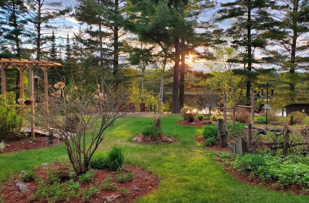 Dwight Resort | Spring Lake Resort