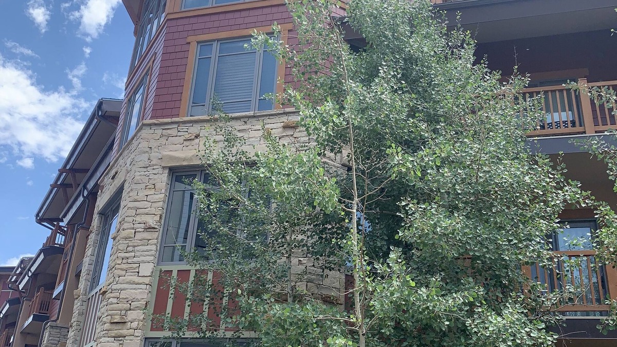 Park City Cabin | Spring Ski Week in the Canyons- Ski In/Ski Out