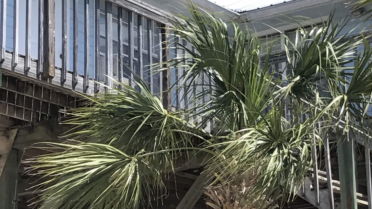 Perry Hotel | Spring Warrior Fish Camp #2 Located on the Gulf of Mexico