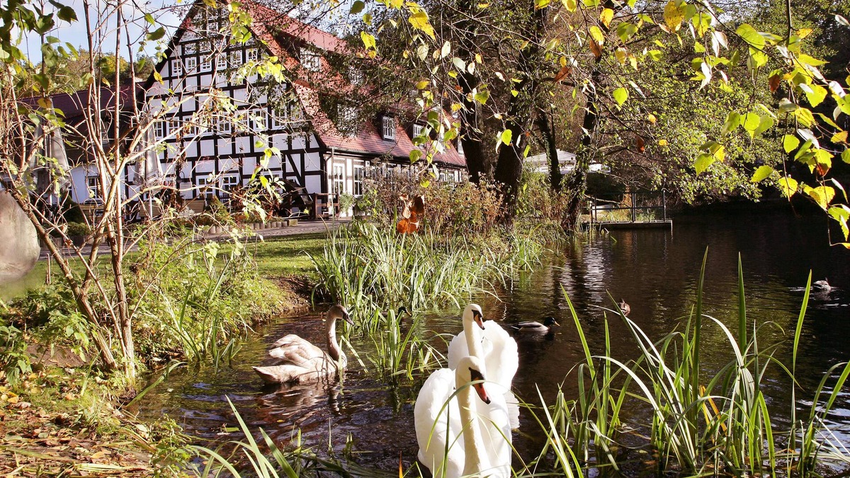 Bad Belzig Hotel | Springbach-Mühle Belzig