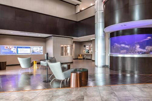 Woodway Hotel | SpringHill Suites by Marriott Waco Woodway