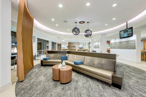 College Park Hotel | SpringHill Suites by Marriott Houston The Woodlands