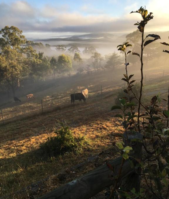 Rydal Bed & Breakfast | Springmead B&B