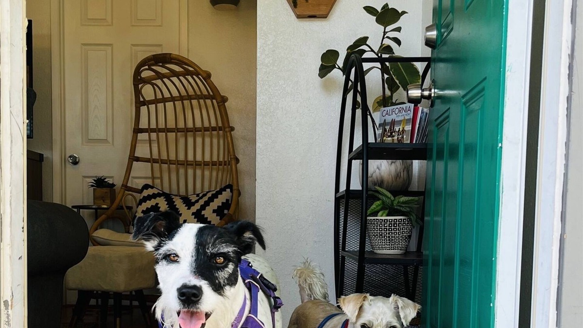 Point Loma Heights Cottage | Springtime Escape – Discounted beach cottage!