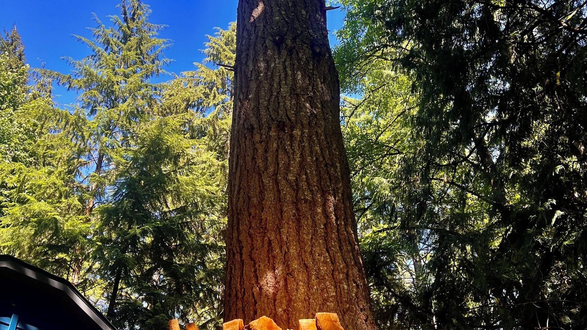 Sudden Valley House | Springtime in the Valley! Modern Charm and the BEST Hiking and Biking in the PNW