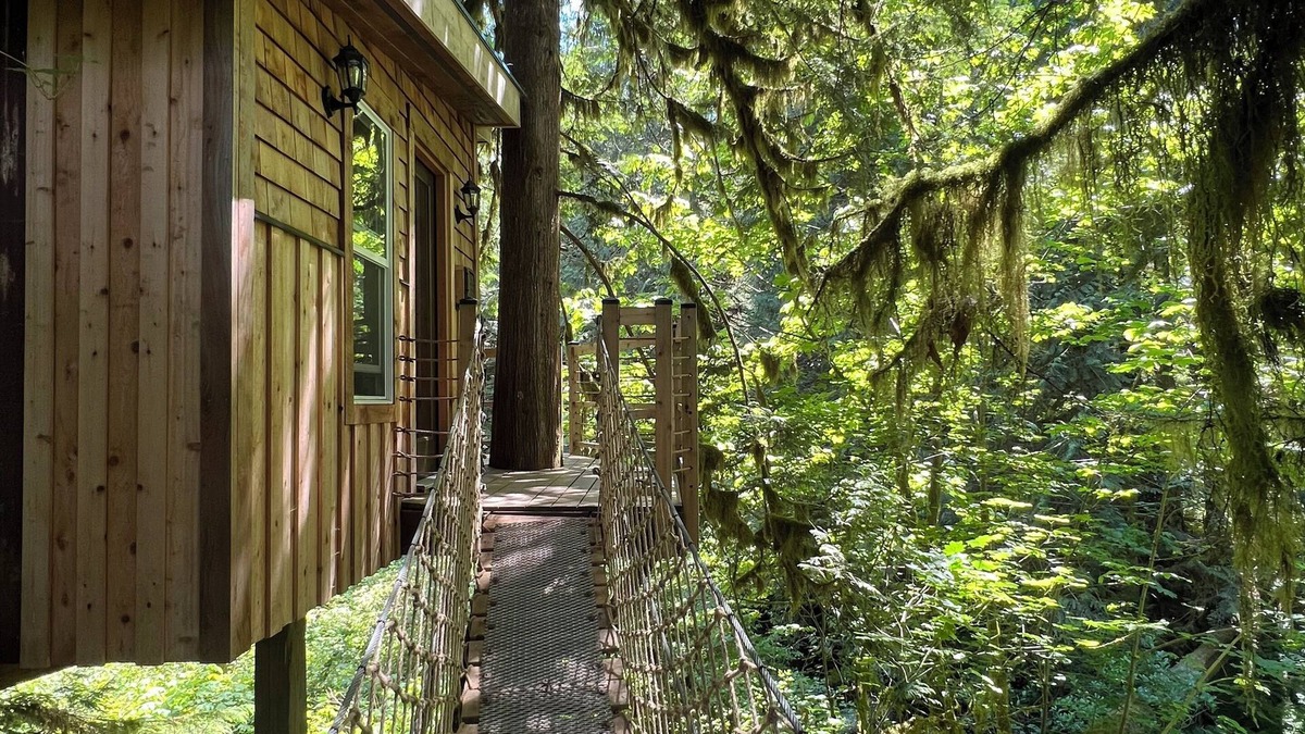 Upper Squamish Cabin | Squamish Tree House