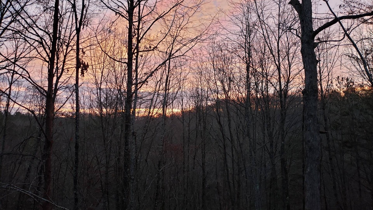 McCaysville Cabin | Squirrels Hideaway | Fire Pit | MTN Views