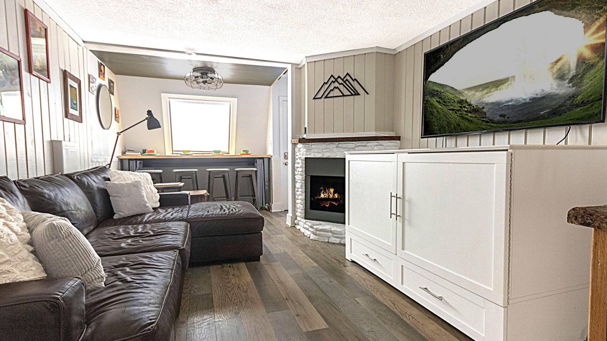 Snowshoe House | SR 21A: Summer modern mountain retreat! EV charger & dogs welcome!