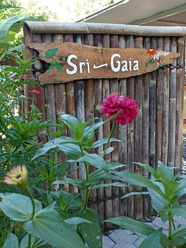 Imogiri Villa | Sri Gaïa Yogyakarta