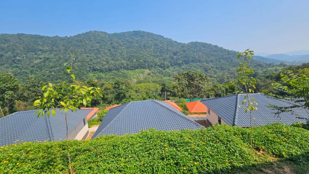 Maredumilli Resort | SRIVANAM Resorts