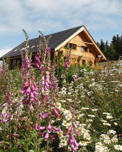 Svinna Apartment | Srub Javorná - apartmány Šumava