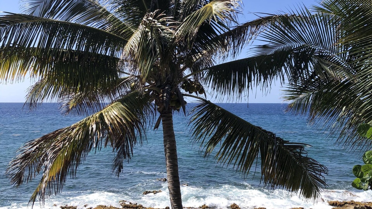 Cane Bay Cottage | St.Croix, USVI- Cane Bay Beach -direct waterfront Cottage!