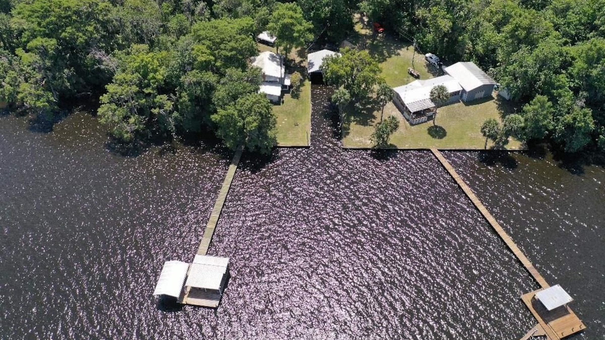 Crescent City House | St Johns River Retreat CSC Unit 2
