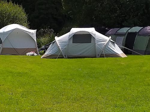 Glynn Other | St Mullins Natural Camping
