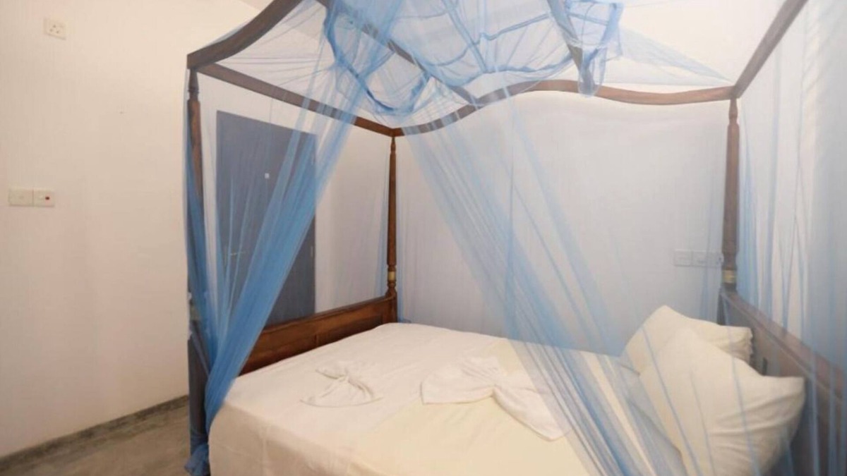 Pelena Hotel | Standard Double Room with Fan 1 - Surfside Retreat Weligama