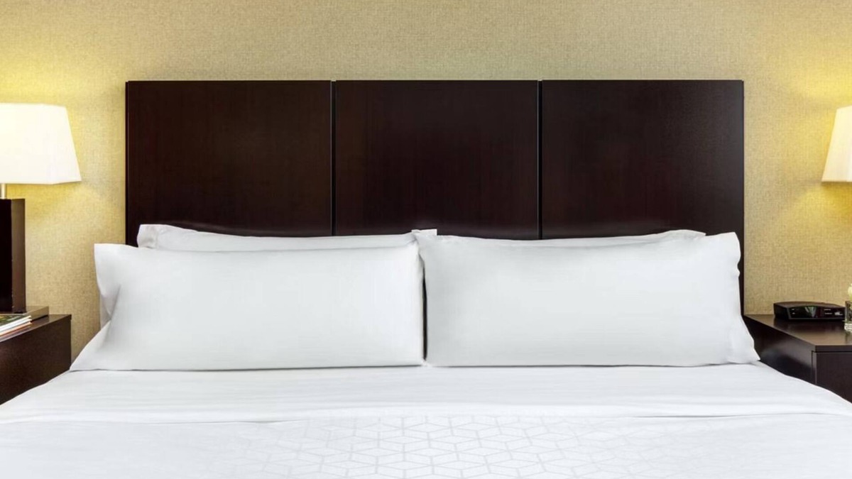 Ocotillo Hotel | Standard King at Holiday Inn Phoenix Chandler - Outdoor Pool & Pets are Welcome!