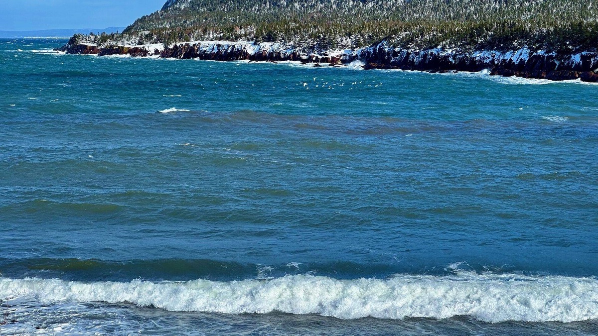 Norman's Cove-Long Cove House | Starboard suite @ The Homestead Oceanfront