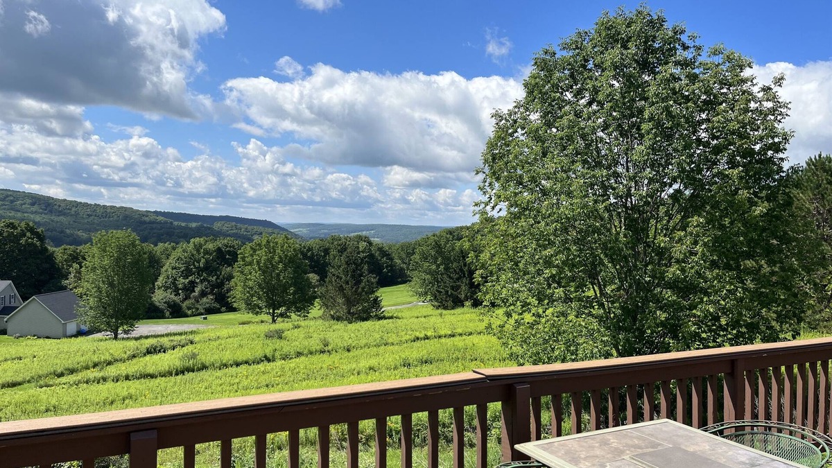 Cooperstown House | Stargazer - Great views, convenient to CDP