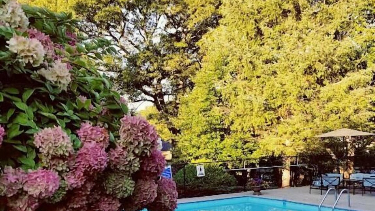 Dennis Cabin | Starlight Lodge Cape Cod